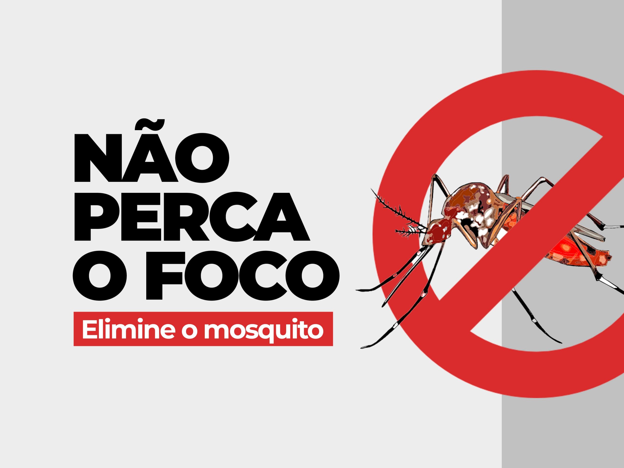 Não perca o foco: Elimine o mosquito!